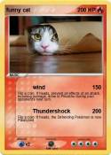 funny cat
