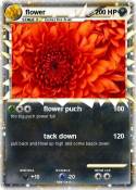 flower