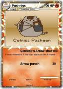 Pushniss