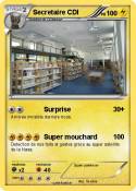 Secretaire CDI