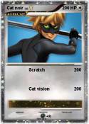 Cat noir