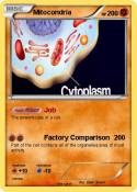 Mitocondria