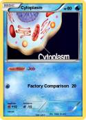 Cytoplasm