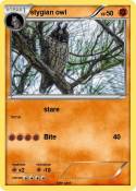 stygian owl