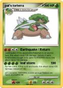 pat's torterra