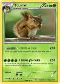 Squirrel
