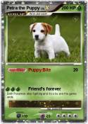 Petra the Puppy