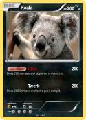 Koala