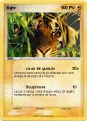 tigre