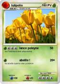 tulipolio