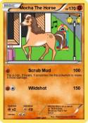 Mocha The Horse