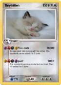 Tiny kitten