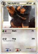 THE PUPPY!!!