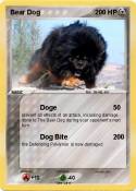Bear Dog