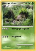 géant qui d0rme