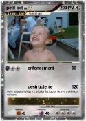 petit pet