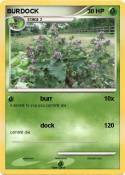 BURDOCK