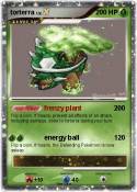 torterra