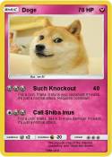 Doge