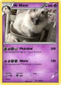 Mr. Miauw
