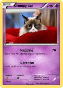 Grumpy Cat