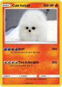 Cute furball