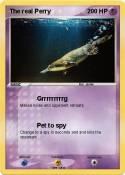 The real Perry