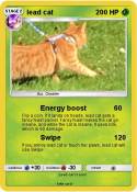 lead cat