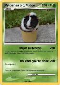 My guinea pig,