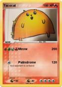 Tacocat