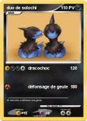 duo de solochi