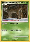 berger allemand