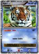 tiger1