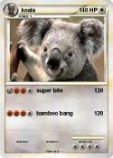 koala