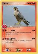falcon