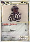 Yung Fly