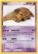 dogs