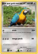 blue and gold