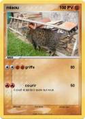 miaou