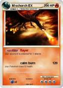 M schorch EX