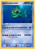 grand requin