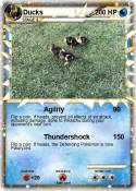 Ducks