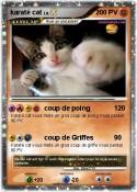 karaté cat