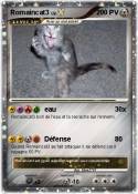 Romaincat3