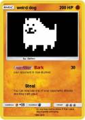 weird dog