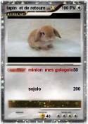 lapin et de