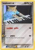 keayboard cat