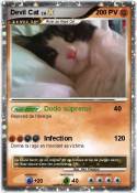 Devil Cat