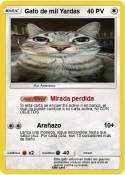 Gato de mil Yar