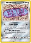 MitoChondria